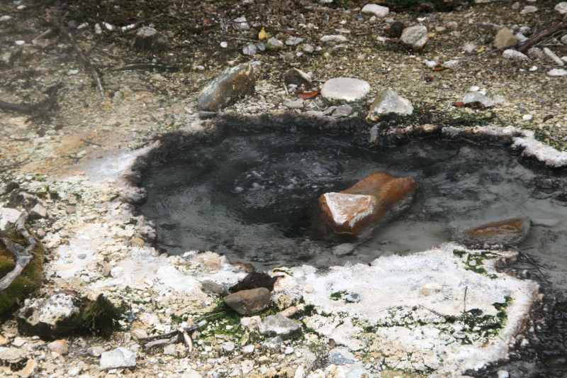 Nieuw-Zeeland 2011 - 0699